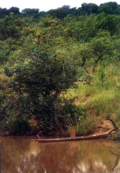 Canoe on the banks of the Daka River