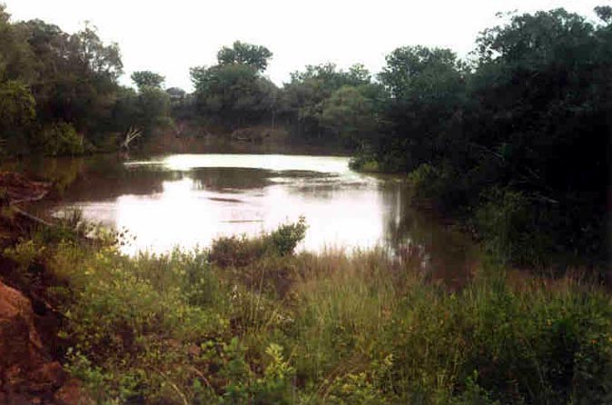 A bend in the Daka River, 2001