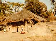 Hut with dried mud walls
