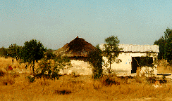 wooden-walled hut