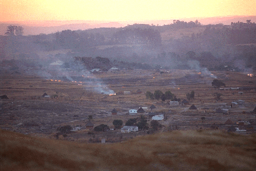burning stalks at sunset (medium-size image)