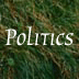 Politics and Government