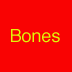 Bones Overview